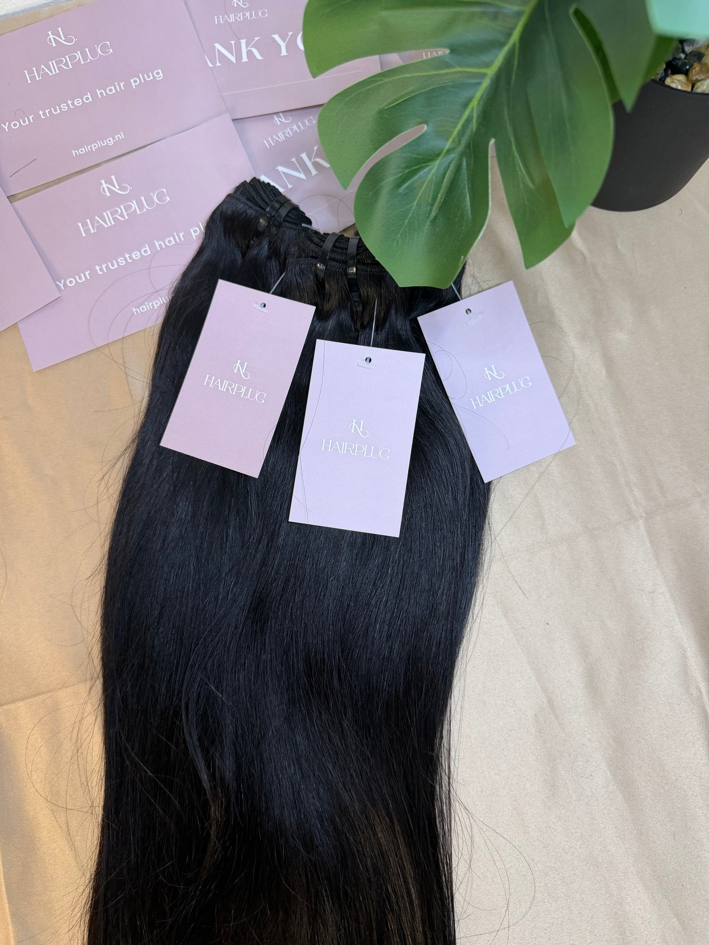 Virgin Malaysian Bundles