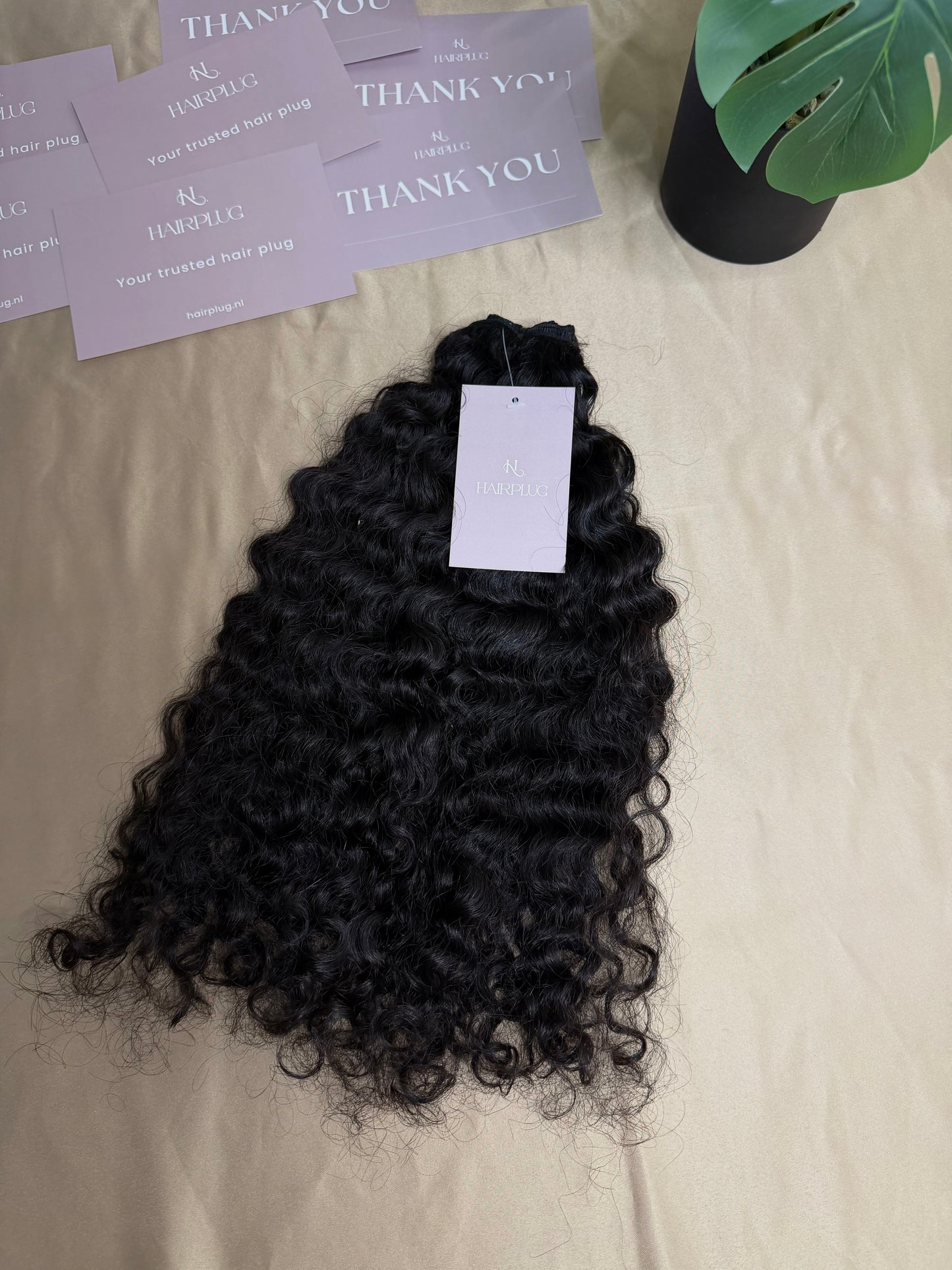 Raw Asian Bundles