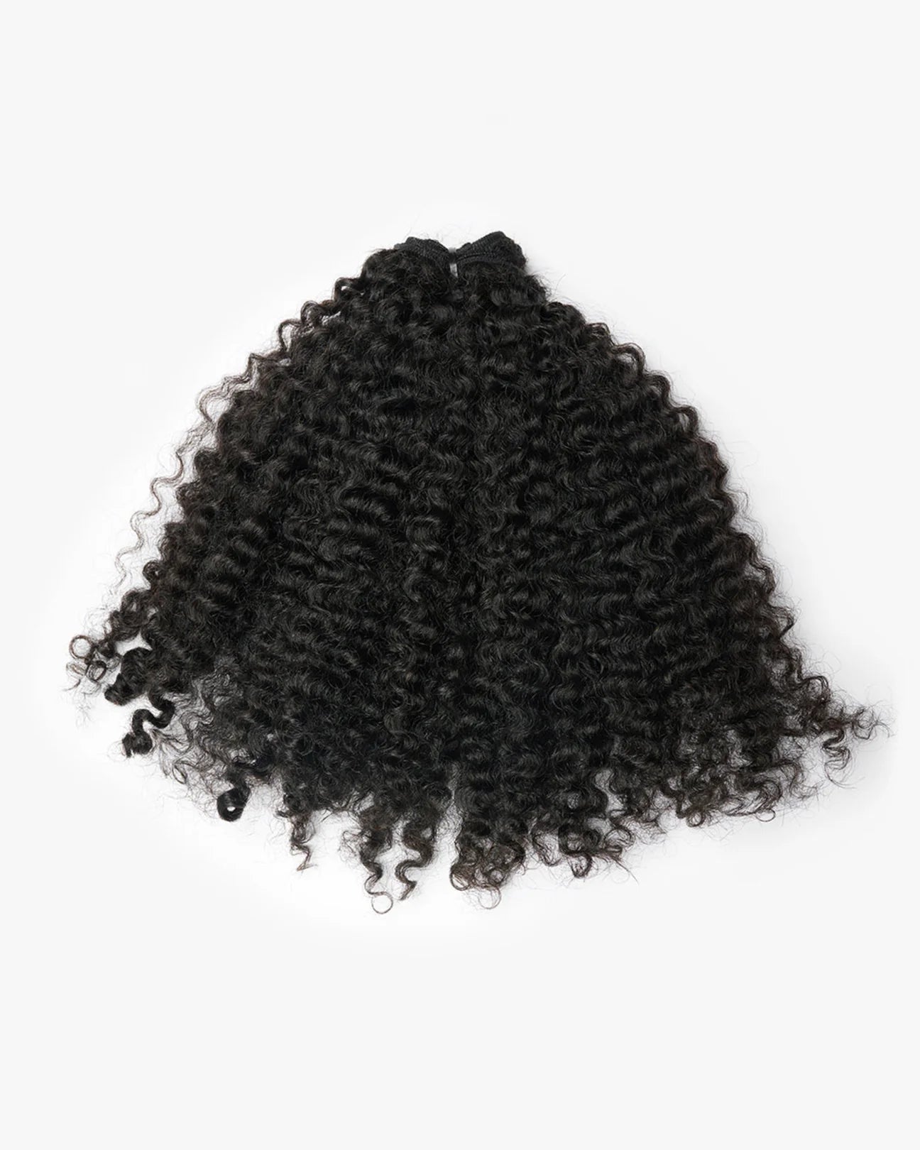 Jamaican Curly